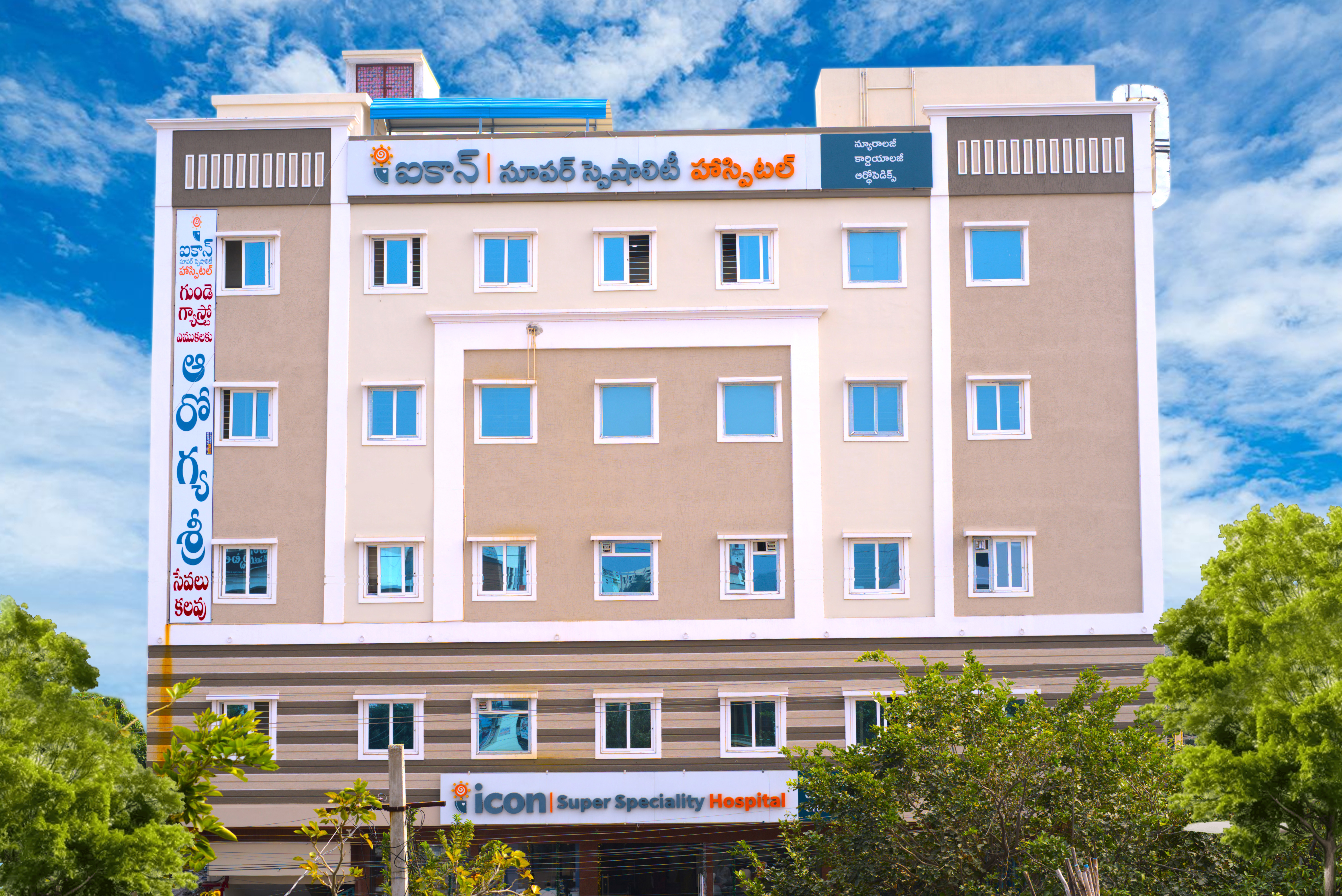 About Icon Hospitals